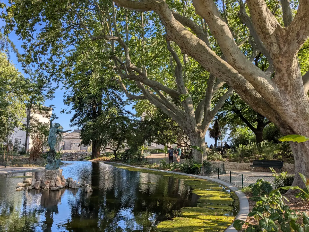 Vue d'Avignon et du Rhône depuis la Barthelasse
